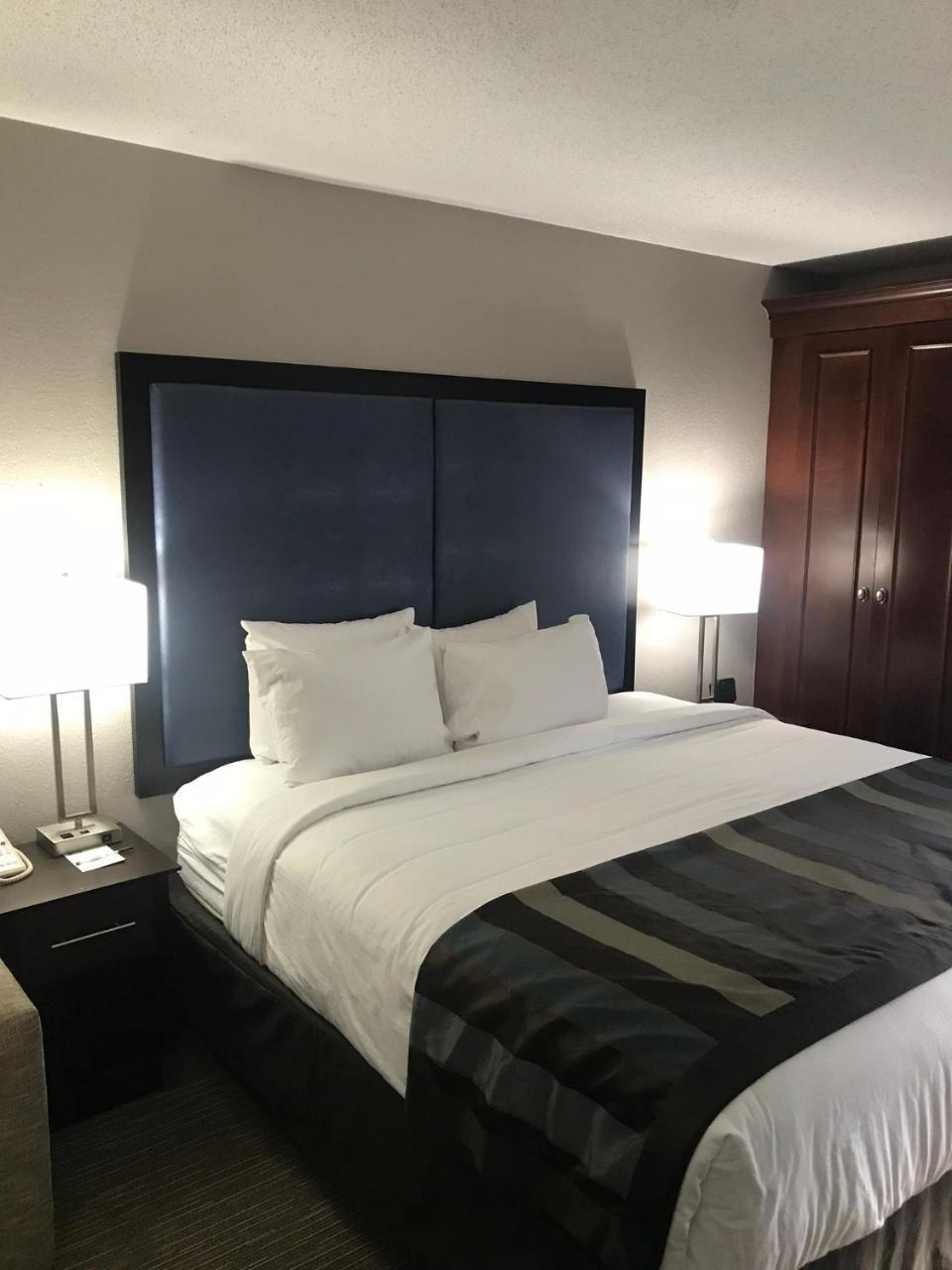 Wingate By Wyndham Charleston Coliseum Hotel North Charleston Bagian luar foto