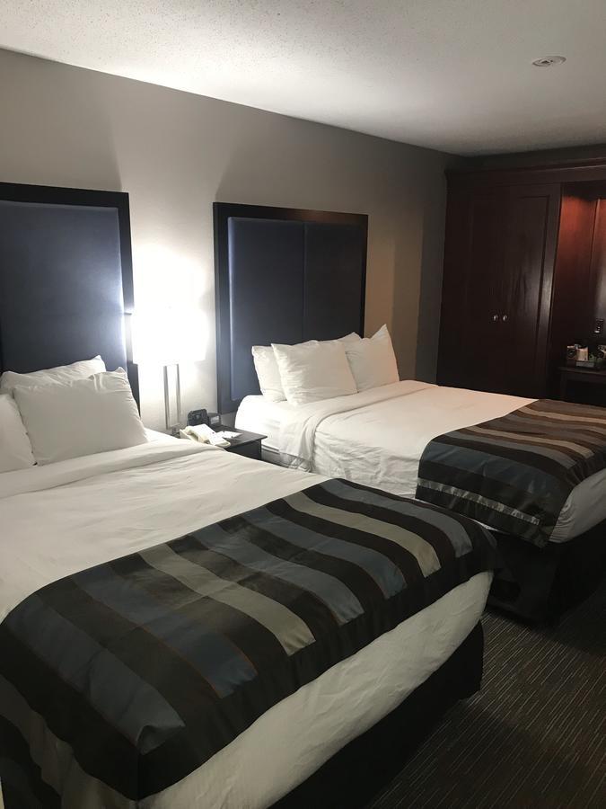 Wingate By Wyndham Charleston Coliseum Hotel North Charleston Bagian luar foto